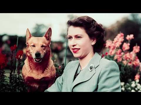 Heartwarming Queen Elizabeth II and Her Beloved Corgis: A Royal Connection Through the Years
