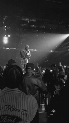 Chris Brown's "Obvious" Hits Different in Black & White 🖤 #detroit #tour #breezy