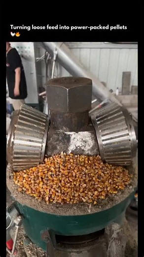 @howeverythingwork.s | animal-feed pellet machines take grains, corn, soy, or hay and press them into uniform pellets. The heat and pressure slightly cook the... | Instagram