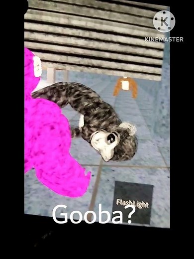 Gooba entering in lobby😭