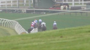 129K views · 2.2K reactions | BREAKING! A gruesome sight at todays...