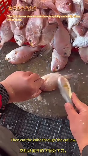 杀鱼工演示教人如何简单快速的杀赤鯮鱼。The fish cleaner demonstrates how to quickly and easily clean red snapper.