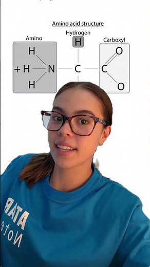 Bio summary - protein structure and function #atar #atarnotes