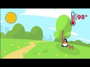 Solar Heat Gain Coefficient Explained | Choosing the Right Window Performance​