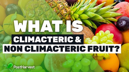 What is Climacteric and Non-Climacteric Fruit? — PostHarvest Technologies
