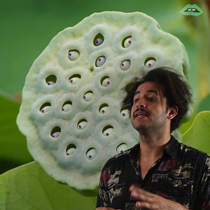 Do you suffer from trypophobia? Watch this video to find out! | Everything Explained