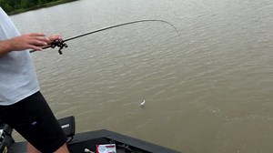 19K views · 261 reactions | Here's a closer look at what the NEW YUM SPINE CRAW is all about  fast fluttering and built for speed! #bassfishing #bigbass | YUM | Facebook