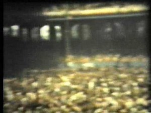 FIRE IN THE STANDS @ COMISKEY PARK W/JEFF BECK 1976 CHICAGO