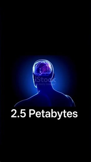 Aapka Dimaag Kitna GB ka Hai? 🤔#facts#shorts #space #brainpower#factoholic #facttechz#viral#trending