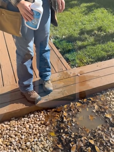 Essential Plumbing Tips for Unclogging Drains