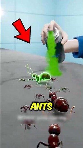 Stop Spraying Ants! The Secret Trick to Wipe Out the Whole Colony