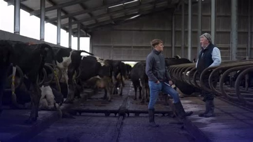 Dovea Genetics on Instagram: "There’s nothing worse than double inseminations over the Christmas period! 🎅🏻 Conception is the most crucial step in breeding which is why we offer Ireland’s greatest fertility solutions on our elite dairy beef range! 💫 Our Spermvital range has been revolutionising the AI industry since its introduction to Ireland! Farmers have been seeing massive increases in conception rates through use of Spermvital technology particularly amongst problem cows! Spermvital tech