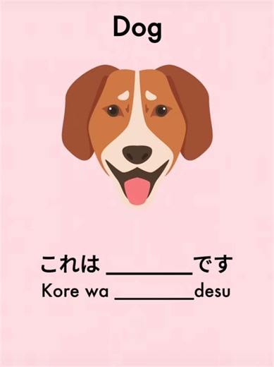 Challenge Yourself with the Japanese Quiz!