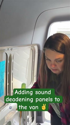 The Simple Van Build Begins #sprinter#diy#vanbuild#mercedessprinter