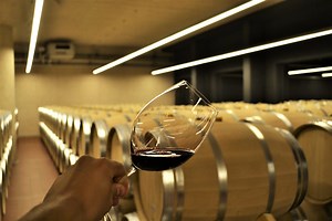 15 wine tours from Madrid for an ultimate tasting experience