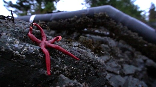 Watch Port Protection Alaska Season 4 Episode 6 Water Works Online