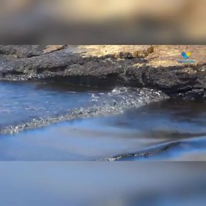 4.6K views · 241 reactions | PERU opens probe of oil spill blamed on...