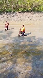 Fishing Time in sundorbon . . . . #fishingentertainmentbd #handfishing #bdfishing #Sundorbon #NetFishing #fishingreels #reelsvideo #সুন্দরবন #fishcatching #netfishing #sundorbon #Fish #castnetfishing #trendingfishing #fish #reels #trendingreels | Fishing Entertainment BD