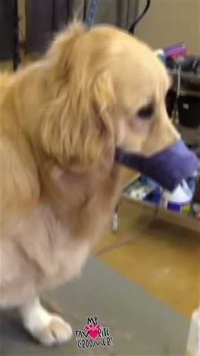 Ear Cleaning Secret Flush for Amazing Results!