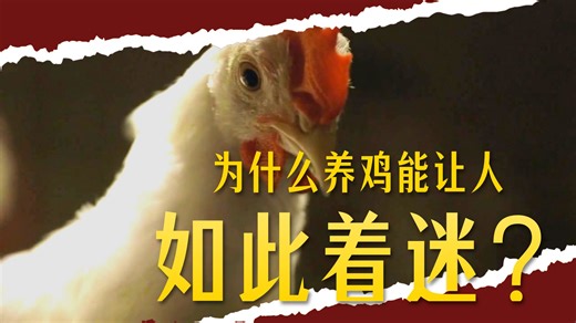 【养鸡人】Chicken People 美国2016纪录