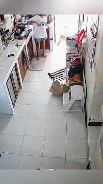 HIDDEN DOG CAM!🐶📸 Caught in 4K! What they do when you're gone.😂 #Dog #HiddenCamera #Caught #Funny