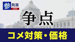参院選 政党 政策アンケート「コメ対策・価格」現場ルポも | NHKニュース
