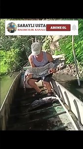 19/13 🤑Catfishing in a stream - Fishing with a cast net! #carpfishing