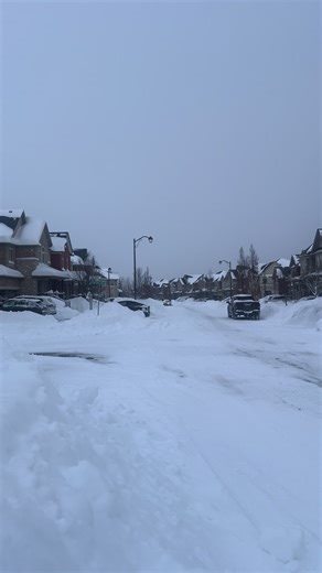 Snow storm Toronto 🇨🇦 #canada🇨🇦