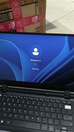 Windows 11 minta password, bug update windows 11