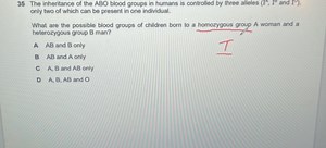 The inheritance of the ABO blood groups in humans is controlled... | Filo