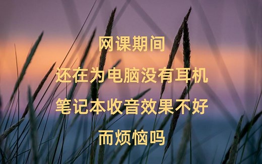 WoMIC，解决电脑收音烦恼！