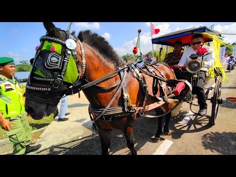 Naik Kuda - Naik Kereta Kuda Delman - Lagu Naik Delman Terpopuler - Arak Arakan Kuda Dokar - Delman
