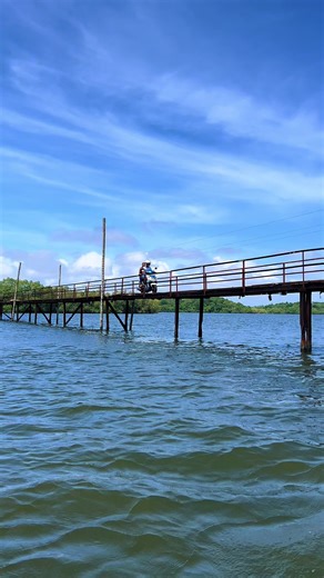 🐬🐋🌾 Welcome to Sri Lanka, an island of stunning landscapes, vibrant culture, and warm hospitality. From golden beaches and lush rainforests to ancient temples and modern cities, Sri Lanka is a place where adventure and relaxation go hand in hand. Whether you're exploring the historic cities of Anuradhapura and Kandy, trekking through tea plantations in Nuwara Eliya, or lounging on the pristine shores of Mirissa, every corner offers something special. Immerse yourself in the island’s rich heri