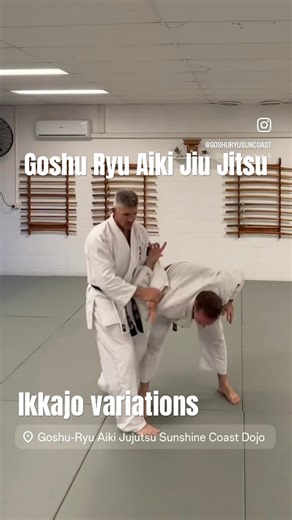 IKKAJO VARIATIONS - including knife def. option.