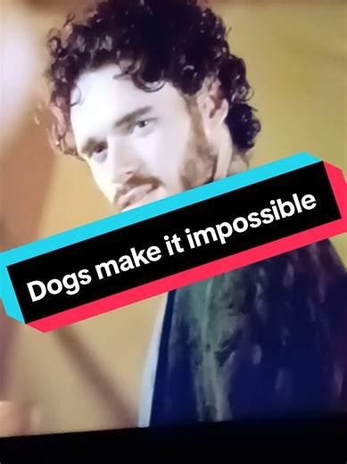 Teleworking with a dog at home be like... #fyp #dogsofttiktok #dogtok #gameofthrones #doglover