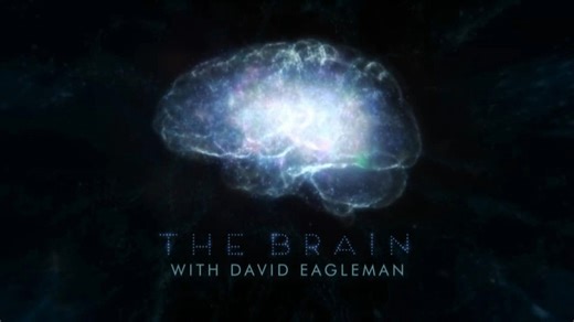 The Brain with David Eagleman 伊格曼的脑科学.06.谁会是我们
