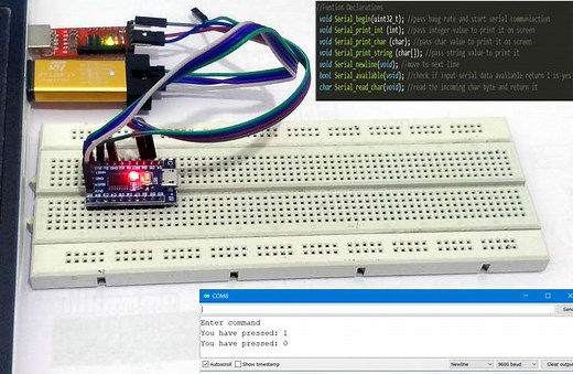 Serial UART Communication on STM8 using Cosmic C and STVD - Print / Read Characters and Strings
