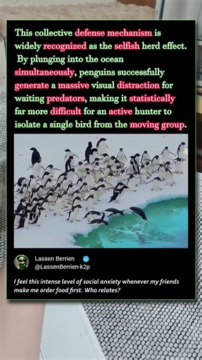 The Genius Trick Penguins Use To Survive Predators! 🐧 #Science #Nature #Wildlife