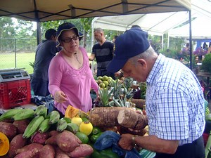 UPR-Cayey hosts ‘unique’ farmers market - News is My Business