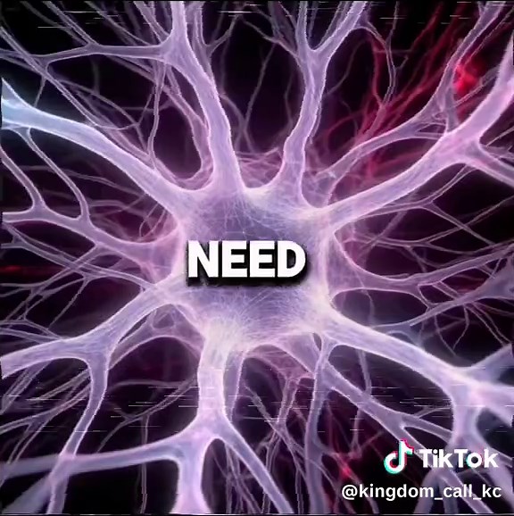 Understanding Psychological Facts in Philosophy