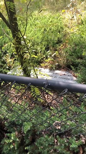 The Vanderbilt Research Facility Cemetery. A cemetery for those who have donated their bodies to science. So sad it is so unkept. 😔 #rip #cemetry
