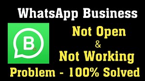 8 Proven Fixes For WhatsApp Business Not Working [100%Valid]