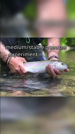 How to Fish When the Air Pressure is Normal