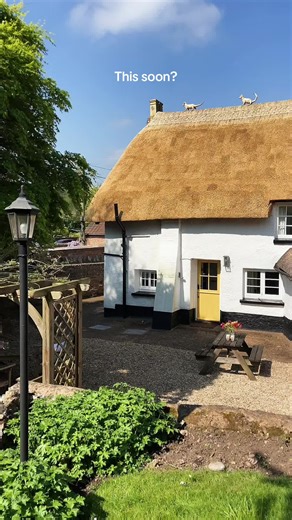 Spring is almost here 🌸 Soft sunshine, birds singing, flowers blooming, and staying at a thatched cottage in the English countryside - pure bliss ✨ Save this for a little spring inspiration! 📍 Streamside Cottage, Devon, Sleeps 4, Dog friendly #thatchedcottage #cottagecore #springiscoming #springgarden #englishcountryside