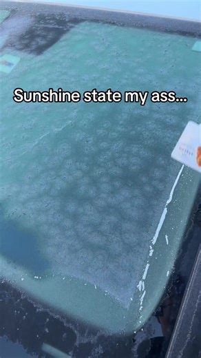 Why is it so cold #florida #schoollife #frozen | florida cold