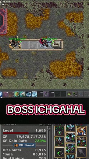 Profitando no Tibia: Estratégias para o Ichgahal