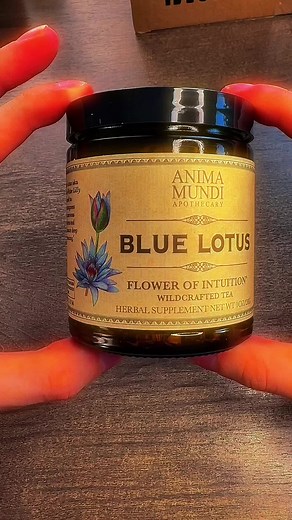 Exploring the Egyptian Blue Lotus: A Gentle Journey of Relaxation and Well-being