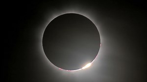 NOVA’s Big Ideas of 2017