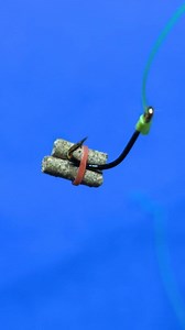 Tutorial on How to Install Fishing Bait #fishing #fishingknot #fishingknottutorial #fishingBait #fishingtips #tutorial #fishingvideos #mancing #reel #reels #fyp #reelsfypシ゚ #viral #trending #fypシ゚ #reelsviral #reelfyp #foryou | Agus Subarna