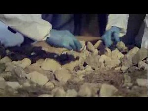 DCI Banks | Series 3 | ITV